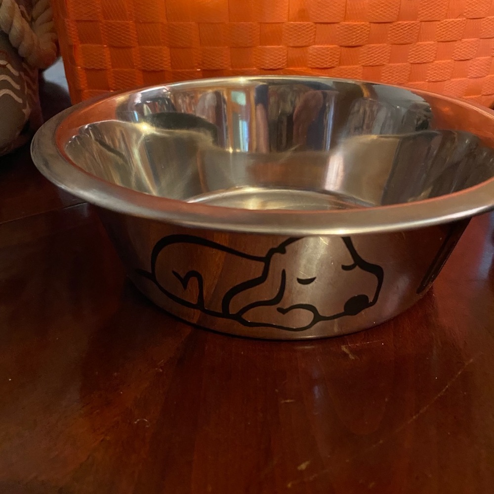 Dog Bowl